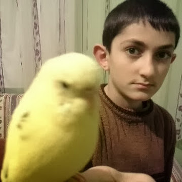 altas yasin profil fotoğrafı